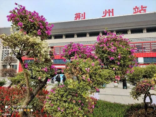 邯鄲到荊州物流公司-邯鄲至荊州專線快速安全的運輸服務