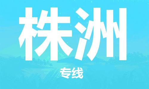 邯鄲到株洲物流公司-邯鄲至株洲貨運客戶至上定制服務(wù)|可靠、經(jīng)濟實惠