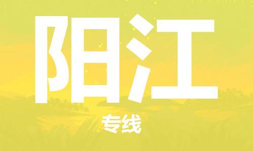 邯鄲到陽江物流公司-邯鄲至陽江貨運客戶至上定制服務|可靠、經(jīng)濟實惠